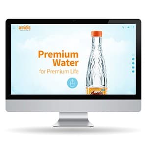 Amidis - Website Design