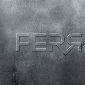 Ferrous Brand Value and Guidelines