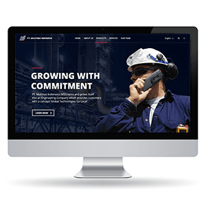 Multinas - Website Design